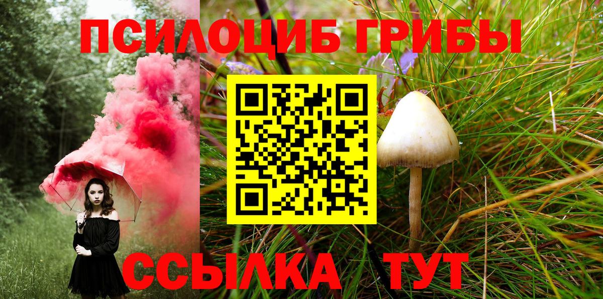 Псилоцибиновые грибы Magic Shrooms Россошь