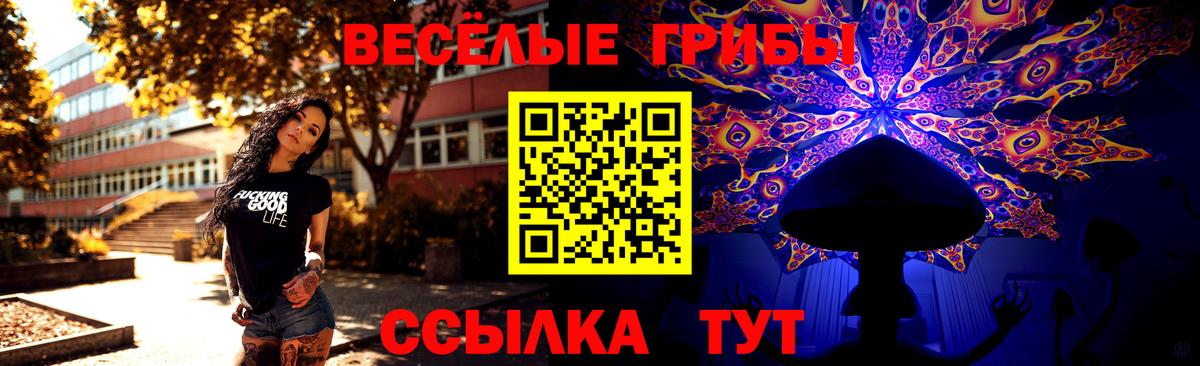 Россошь  Псилоцибиновые грибы Psilocybe  Вход с VPN 